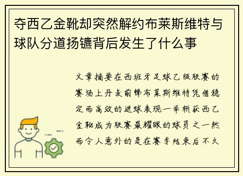 夺西乙金靴却突然解约布莱斯维特与球队分道扬镳背后发生了什么事